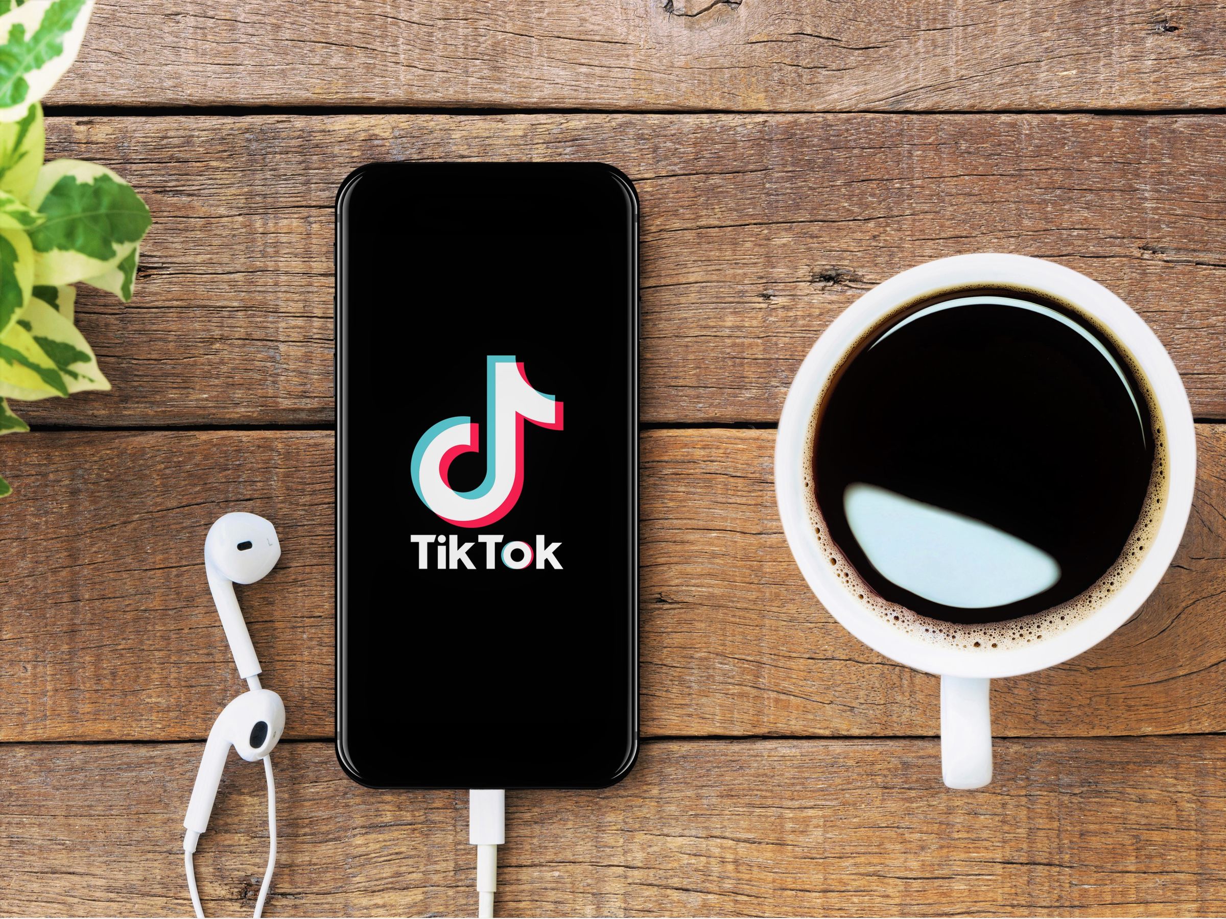 App tiktok แอพพลิเคชั่นที่ทำให้ใครหลายๆ คนกลายเป็นเน็ตไอดอลได้ไม่ยาก